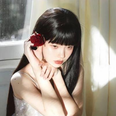 圣诞狗狗救援